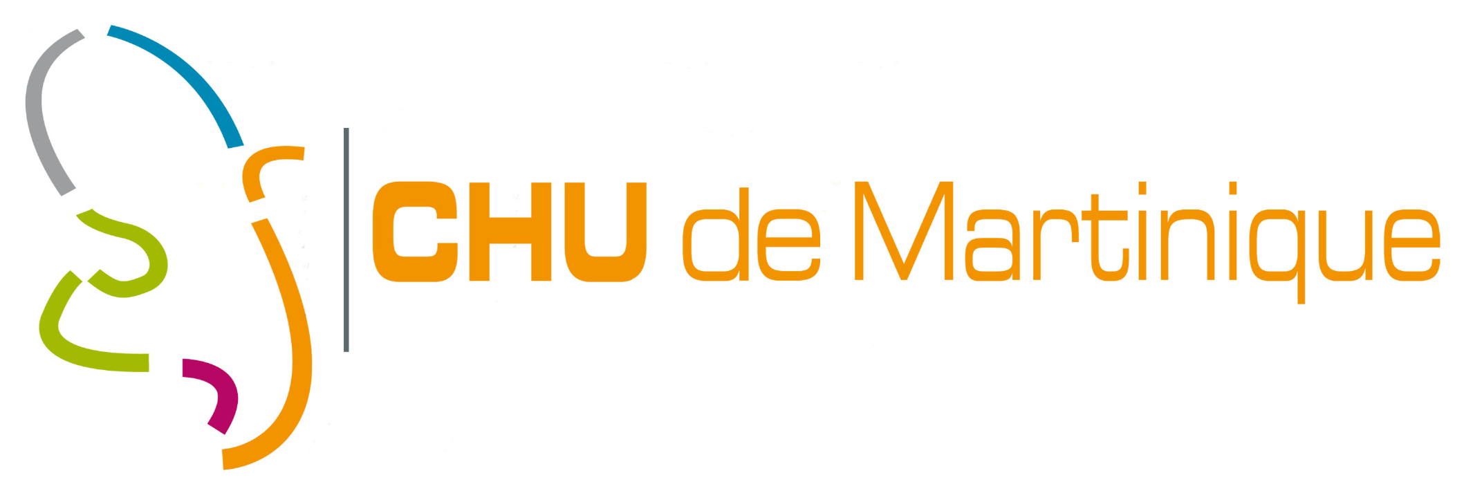Logo CHU de Martinique