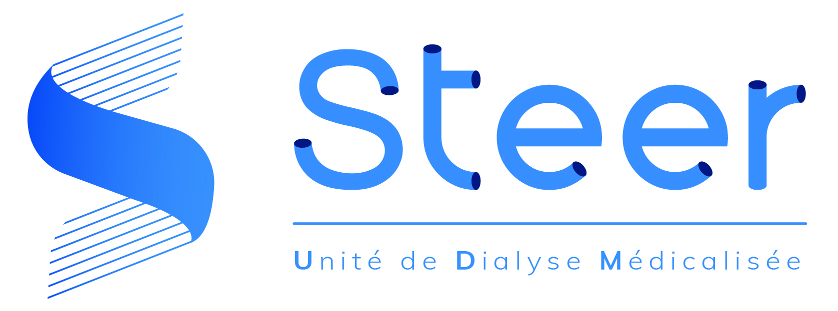Logo Steer